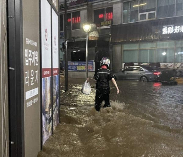 배달원 퓰리처상 모음.........